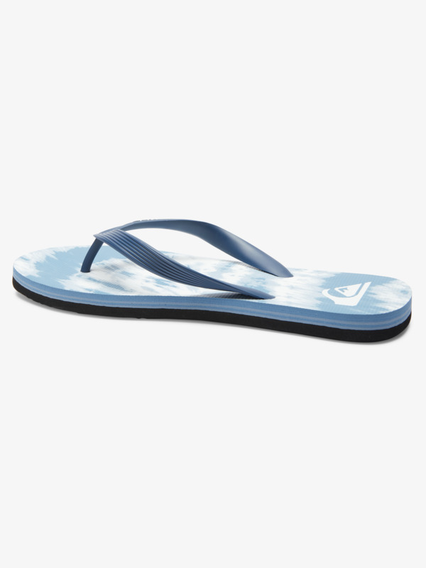 Molokai Art Gregg Kaplan - Flip-Flops for Men  AQYL101264