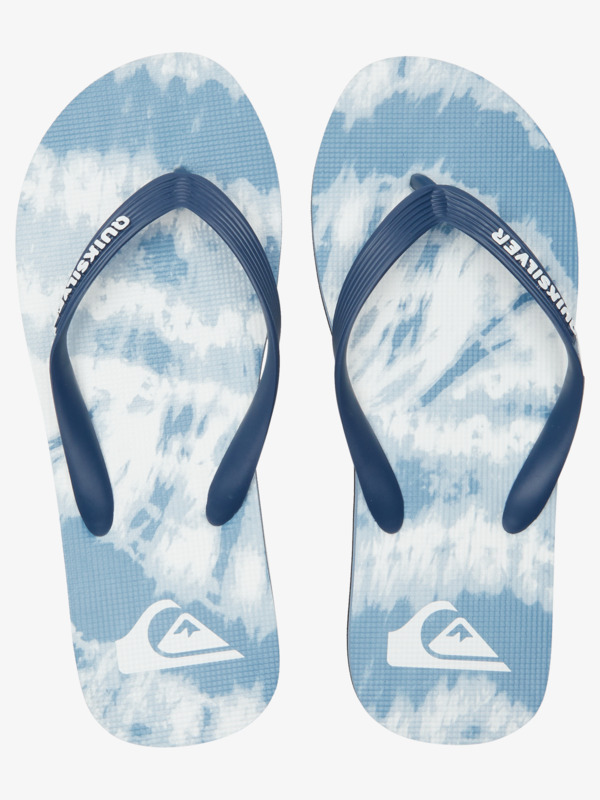 Molokai Art Gregg Kaplan - Flip-Flops for Men  AQYL101264