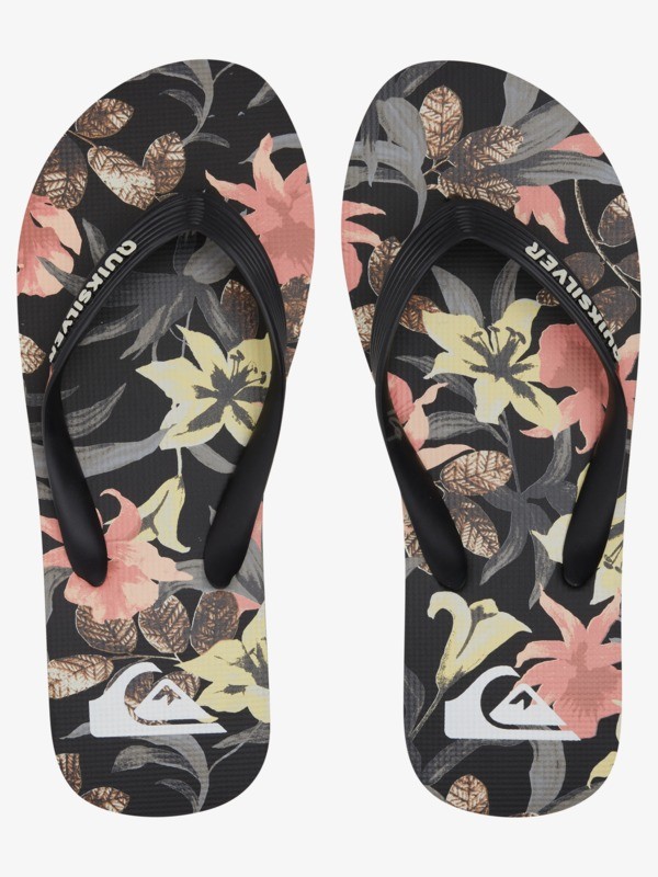 Molokai Art Gregg Kaplan - Flip-Flops for Men  AQYL101264
