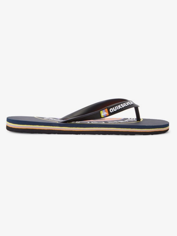 Molokai Art Gregg Kaplan - Flip-Flops for Men  AQYL101264