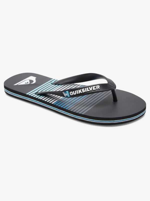 Molokai Art Gregg Kaplan - Flip-Flops for Men  AQYL101264