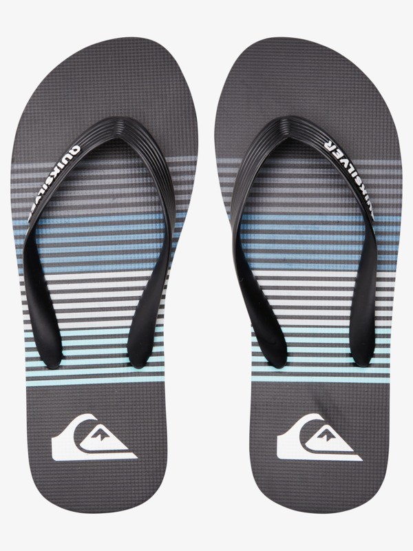 Molokai Art Gregg Kaplan - Flip-Flops for Men  AQYL101264