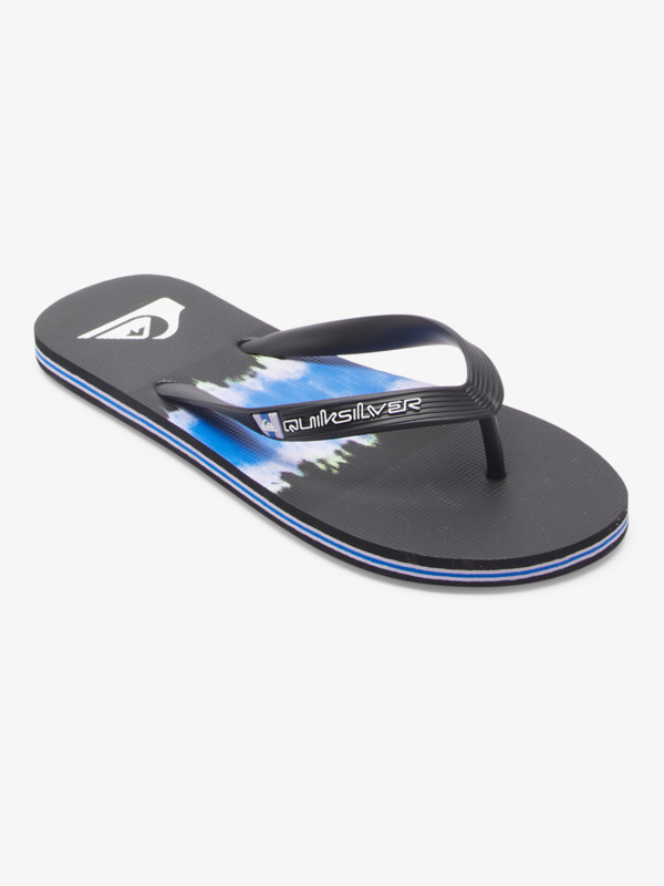Molokai Art Gregg Kaplan - Flip-Flops for Men  AQYL101264