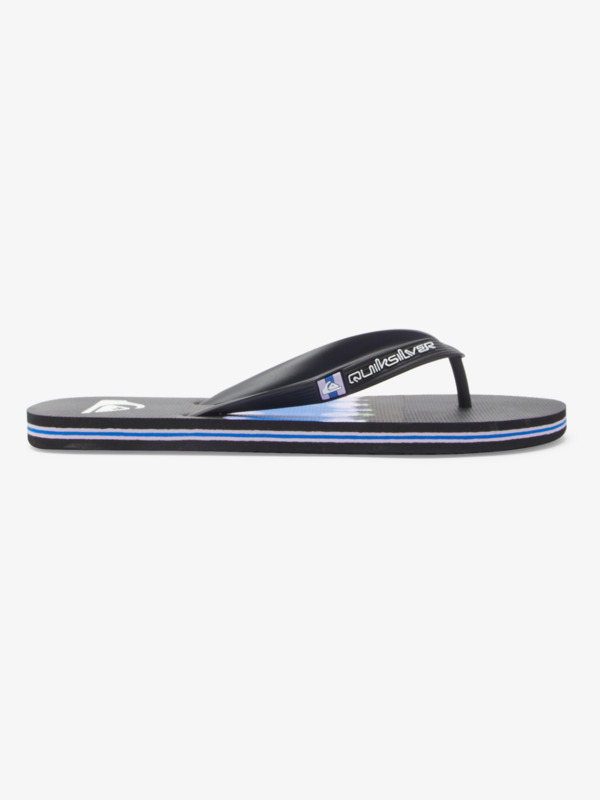 Molokai Art Gregg Kaplan - Flip-Flops for Men  AQYL101264