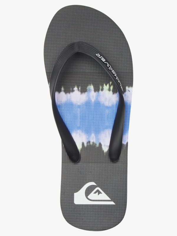 Molokai Art Gregg Kaplan - Flip-Flops for Men  AQYL101264