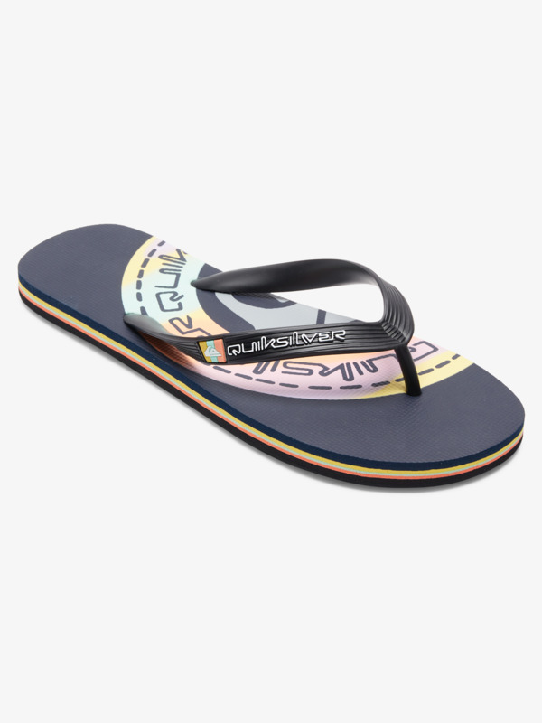Molokai Art Gregg Kaplan - Flip-Flops for Men  AQYL101264