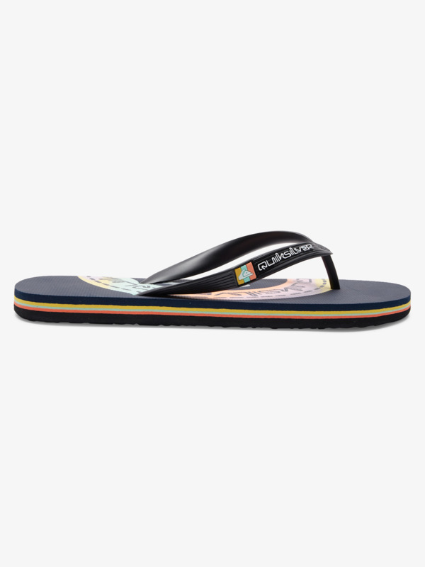 Molokai Art Gregg Kaplan - Flip-Flops for Men  AQYL101264