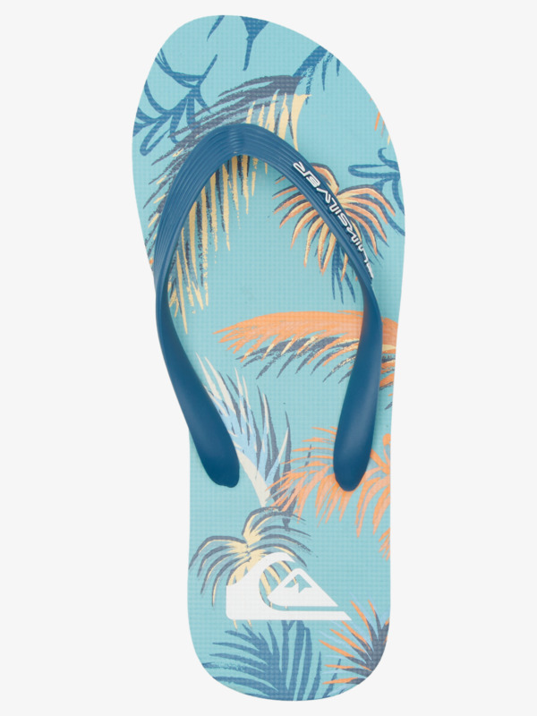 Molokai Art Gregg Kaplan - Flip-Flops for Men  AQYL101264