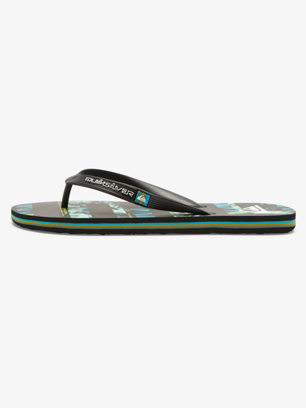 Molokai Art Gregg Kaplan - Flip-Flops for Men  AQYL101264