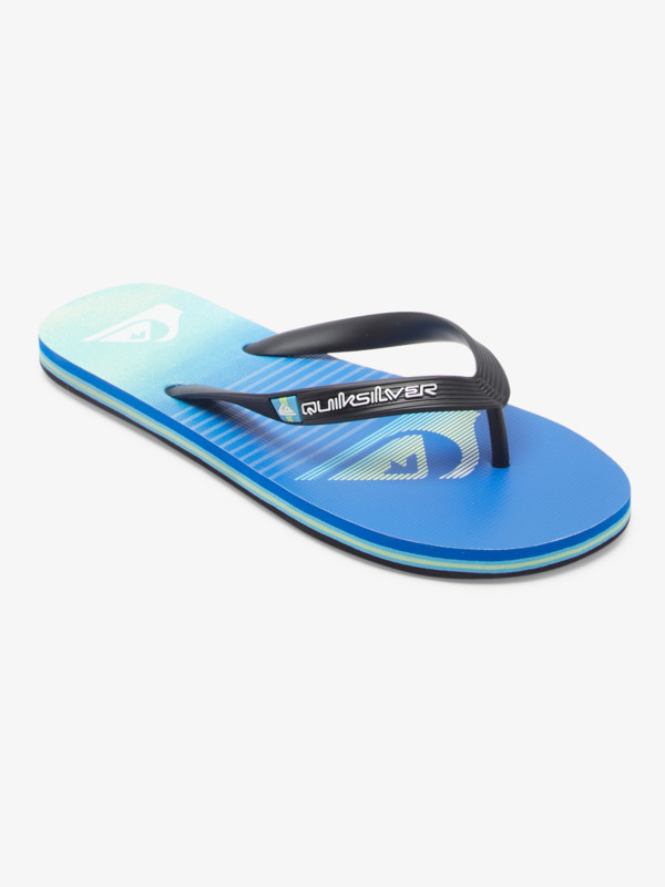Molokai Art Gregg Kaplan - Flip-Flops for Men  AQYL101264