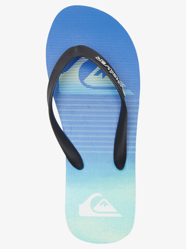 Molokai Art Gregg Kaplan - Flip-Flops for Men  AQYL101264