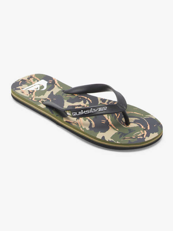 Molokai Art Gregg Kaplan - Flip-Flops for Men  AQYL101264