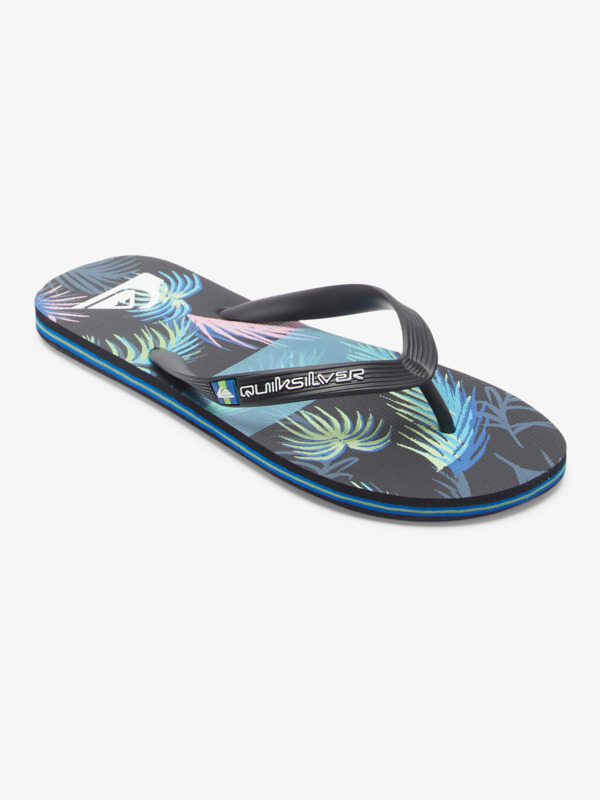 Molokai Art Gregg Kaplan - Flip-Flops for Men  AQYL101264