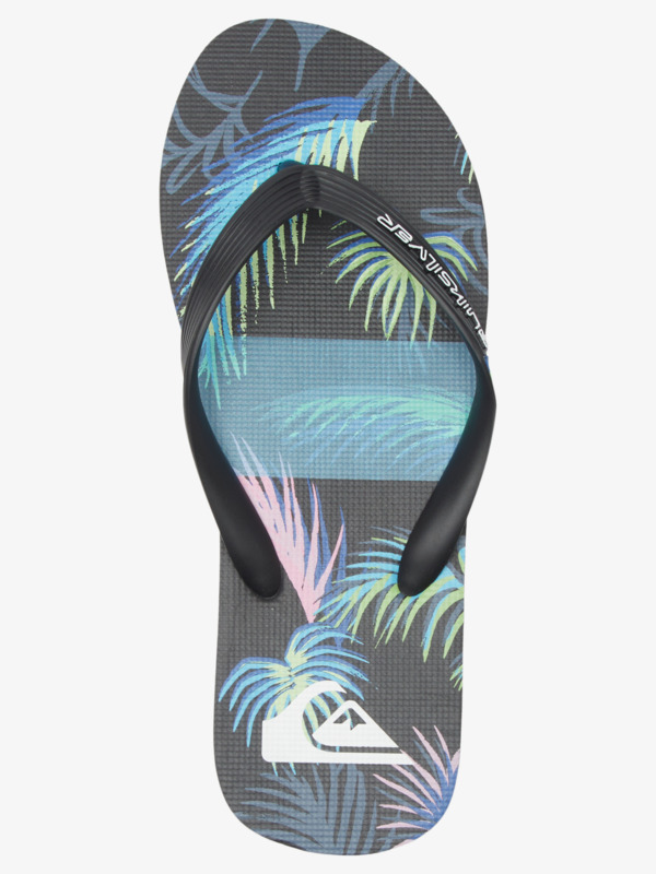Molokai Art Gregg Kaplan - Flip-Flops for Men  AQYL101264