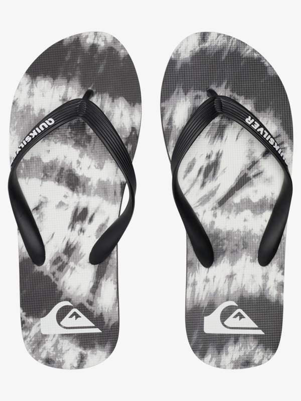 Molokai Art Gregg Kaplan - Flip-Flops for Men  AQYL101264