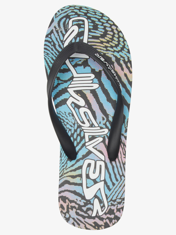 Molokai Art Gregg Kaplan - Flip-Flops for Men  AQYL101264