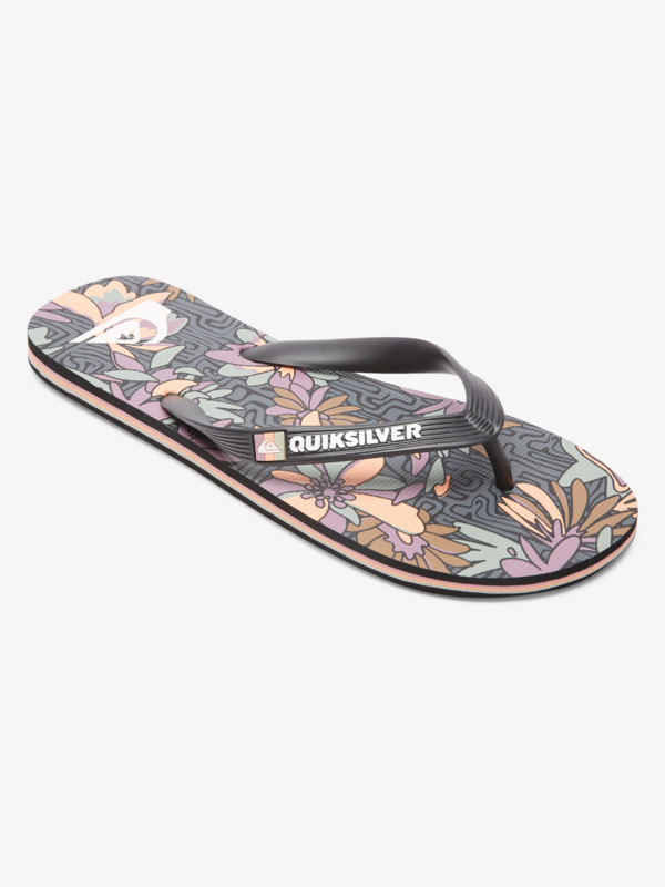 Molokai Art Gregg Kaplan - Flip-Flops for Men  AQYL101264