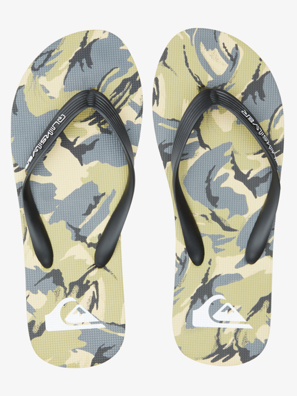 Molokai Art Gregg Kaplan - Flip-Flops for Men  AQYL101264