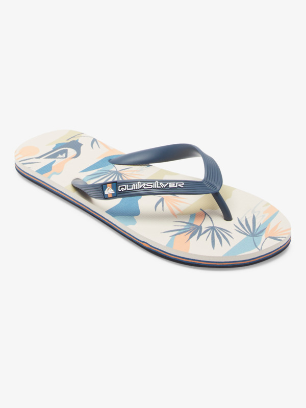 Molokai Art Gregg Kaplan - Flip-Flops for Men  AQYL101264