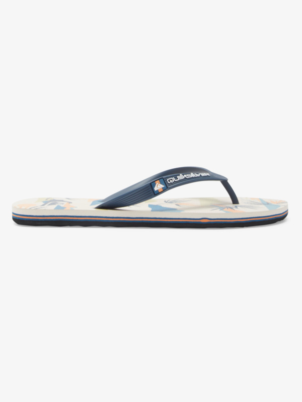 Molokai Art Gregg Kaplan - Flip-Flops for Men  AQYL101264