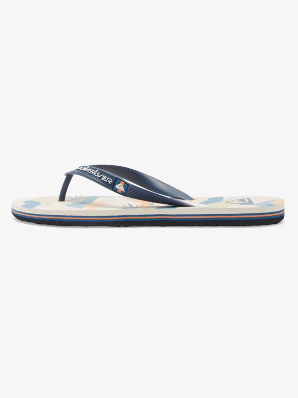 Molokai Art Gregg Kaplan - Flip-Flops for Men  AQYL101264