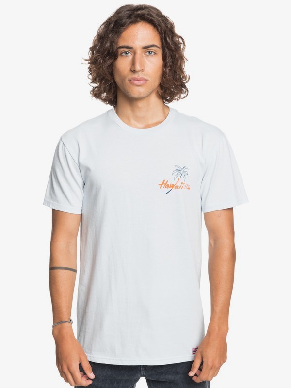 hi standard t shirt