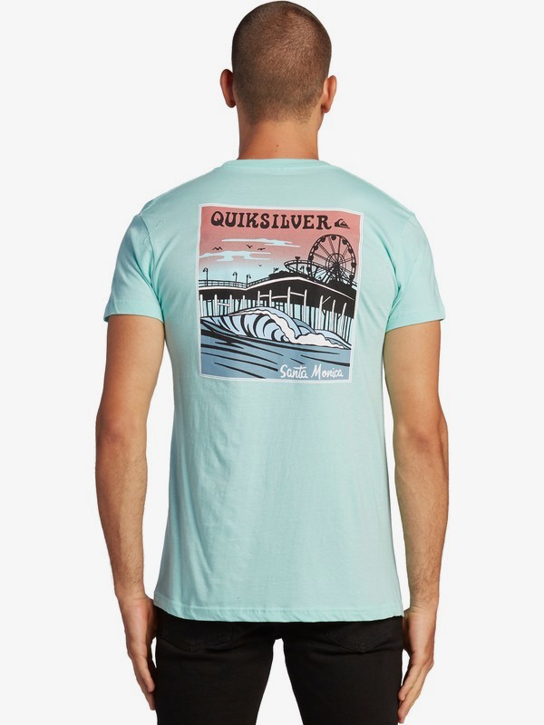 santa monica pier t shirts