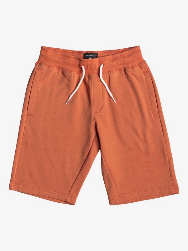 quiksilver, Everyday - Short de Felpa para Chicos 8-16, FLAMINGO (nks0) 0 Everyday - Short de Felpa para Chicos 8-16 Naranja EQBFB03072 Quiksilver