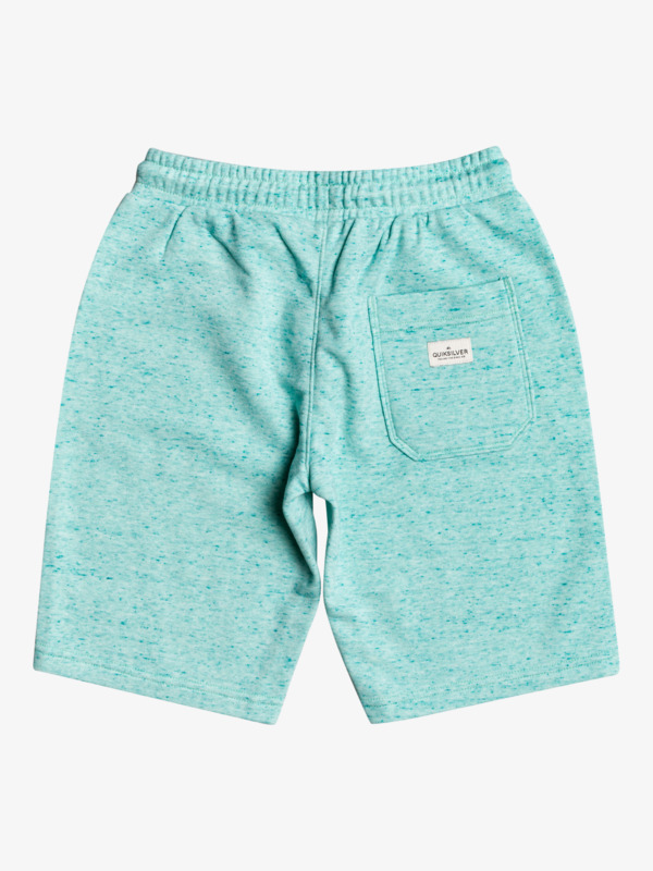 Easy Day Sweat Shorts for Boys 816 3613376208955 Quiksilver