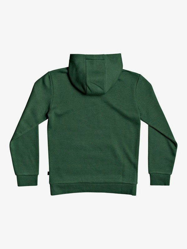 Big Logo - Hoodie for Boys 8-16 EQBFT03630