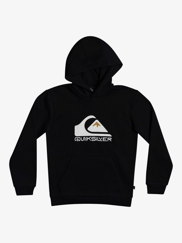 Big Logo - Hoodie for Boys 8-16  EQBFT03630