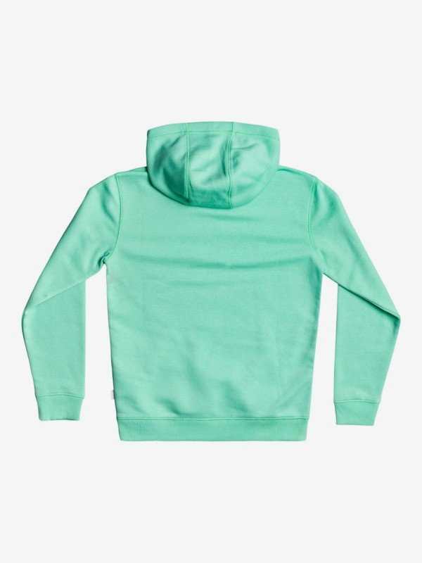 Big Logo - Hoodie for Boys 8-16  EQBFT03671