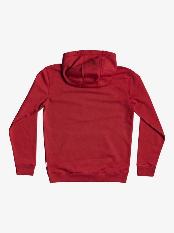 Big Logo - Hoodie for Boys 8-16  EQBFT03671