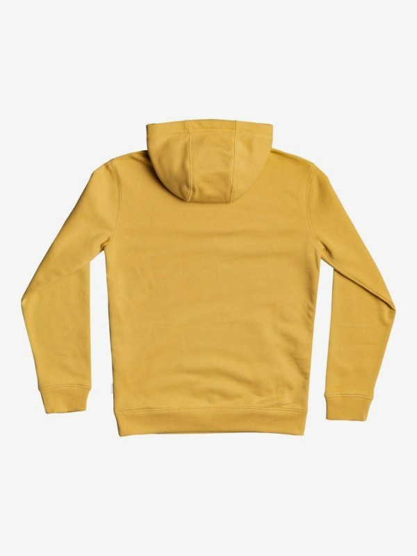 Big Logo - Hoodie for Boys 8-16  EQBFT03671