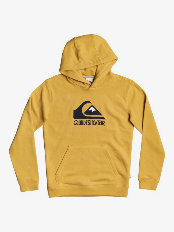 Big Logo - Hoodie for Boys 8-16  EQBFT03671