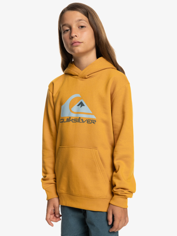 Big Logo - Hoodie for Boys  EQBFT03720