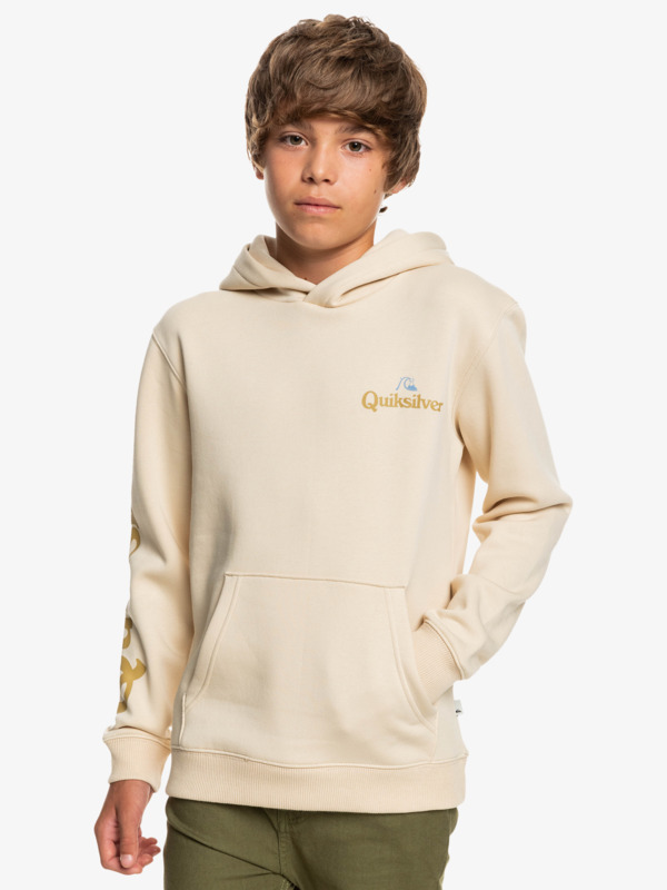 Stir It Up 2022 - Hoodie for Boys 8-16  EQBFT03757