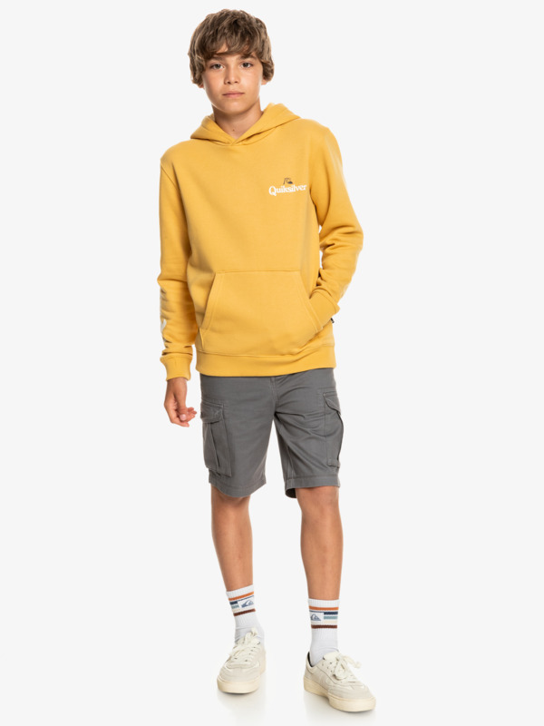 Stir It Up 2022 - Hoodie for Boys 8-16  EQBFT03757
