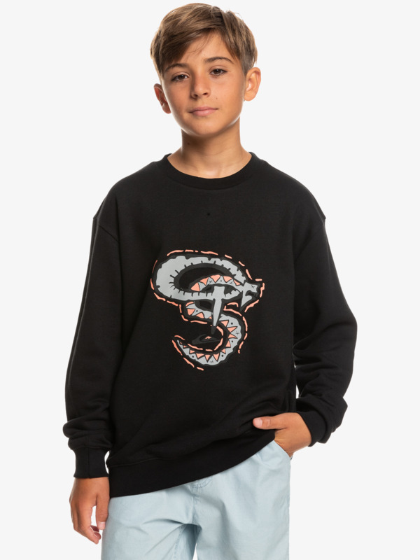 Snackey Gardian - Sweatshirt for Boys 8-16  EQBFT03822