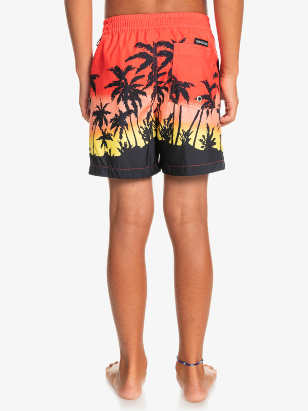 Everyday Paradise 14" - Swim Shorts for Boys 8-16  EQBJV03390