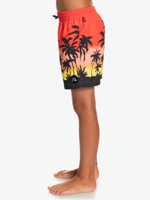 Everyday Paradise 14" - Swim Shorts for Boys 8-16  EQBJV03390
