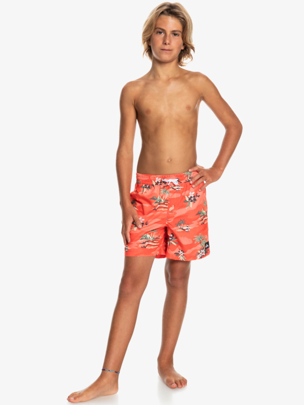 Everyday Scenic 14" - Swim Shorts for Boys 8-16  EQBJV03393