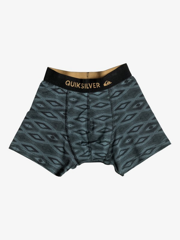 Boxer Poster Boxer Briefs 3613371980207 Quiksilver