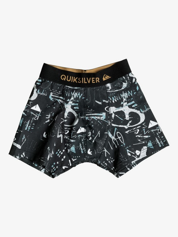 Boxer Poster Boxer Briefs 3613371983079 Quiksilver