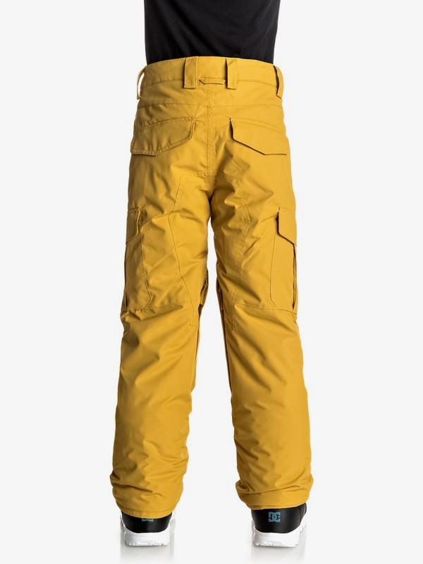 QUIKSILVER Big Boys Porter Youth Snow Ski Pant