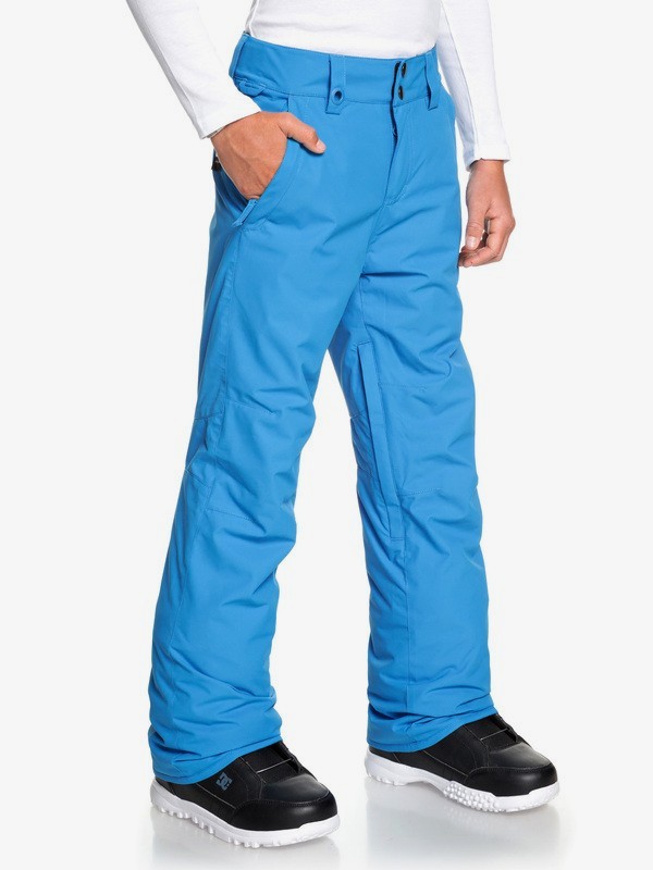 Estate Snow Pants for Boys 816 3613374528833 Quiksilver