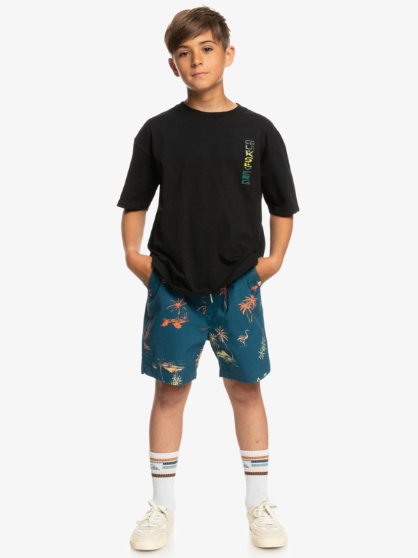 Boys 8-16 Taxer Elasticated Shorts | Quiksilver