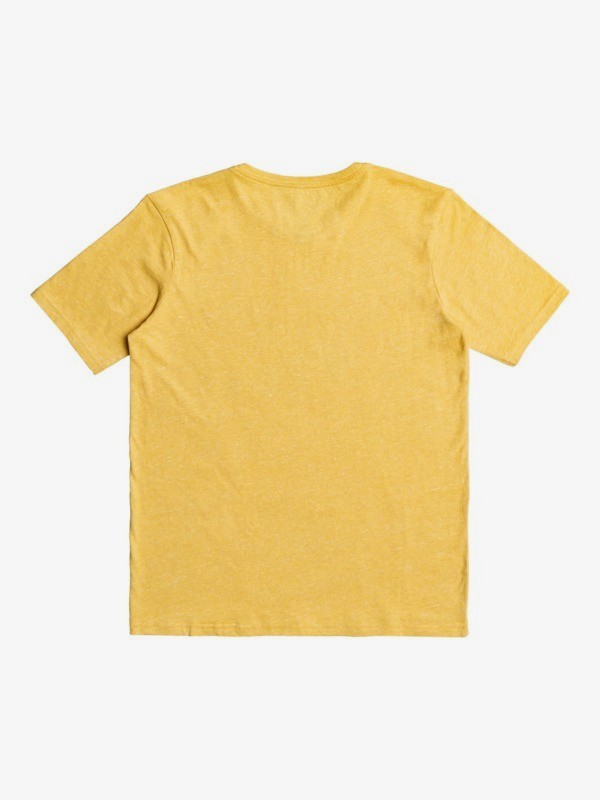 Dream Sessions - Organic T-Shirt for Boys 8-16  EQBZT04343