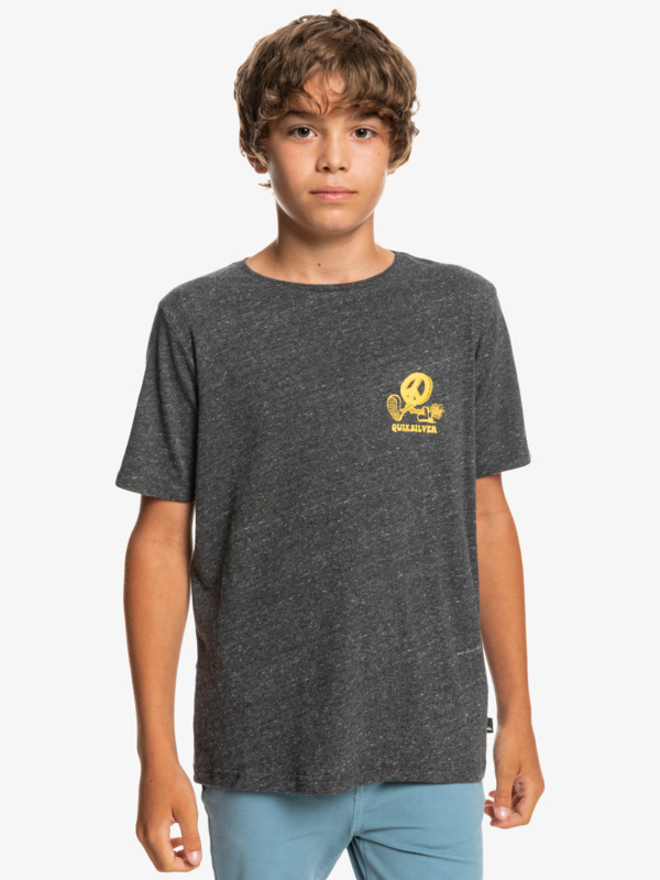New World - Short Sleeve T-Shirt for Boys 8-16  EQBZT04438