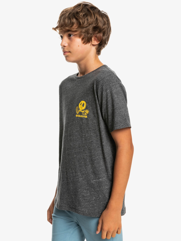 New World - Short Sleeve T-Shirt for Boys 8-16  EQBZT04438